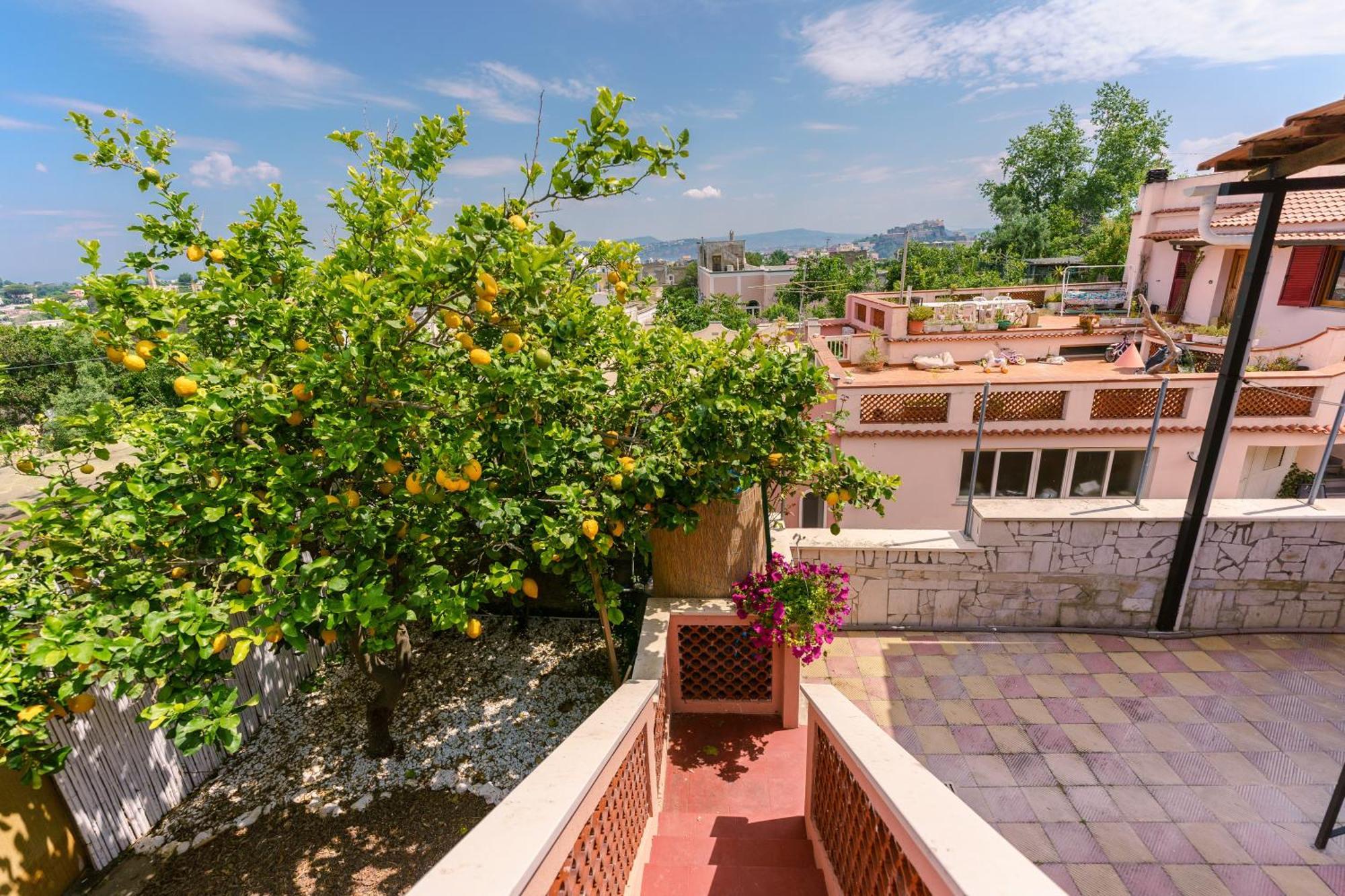 مبيت وإفطار بروسيدا Le Jardin المظهر الخارجي الصورة